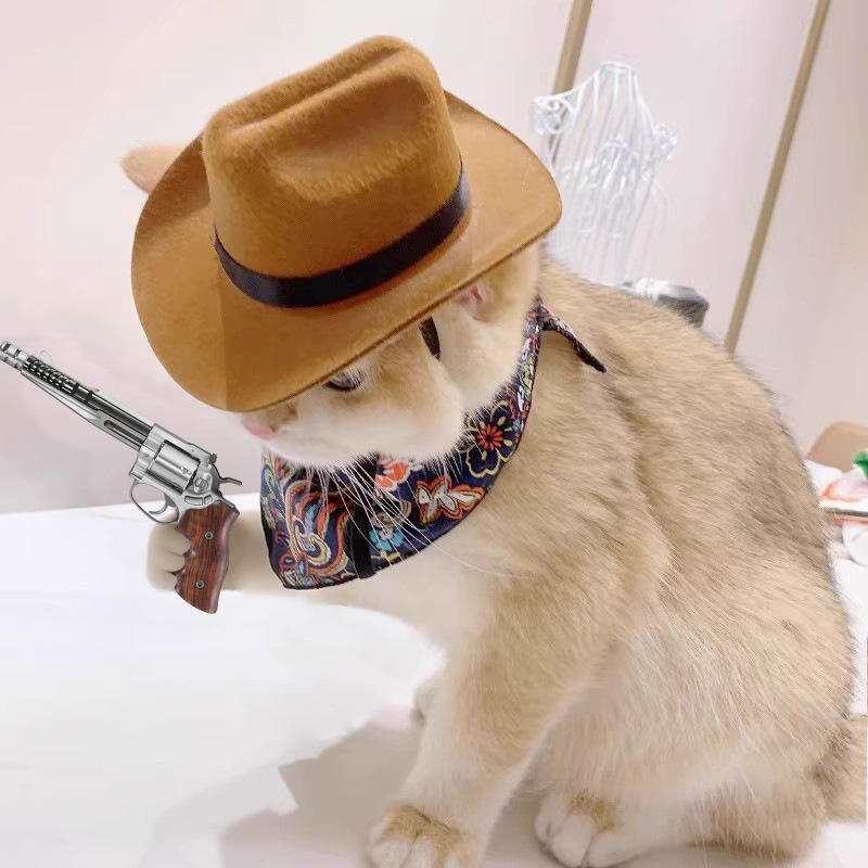    Sombrero de vaquero para g - Cowboy Hat Straw reseña y precio